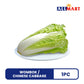 Wombok / Chinese Cabbage 1pc