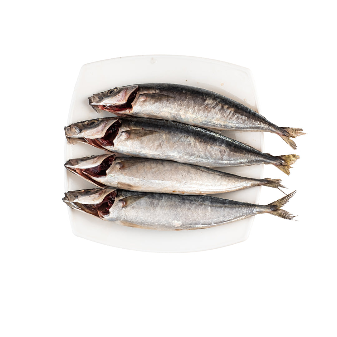 Galunggong / Mackerel Scad Cleaned 500g