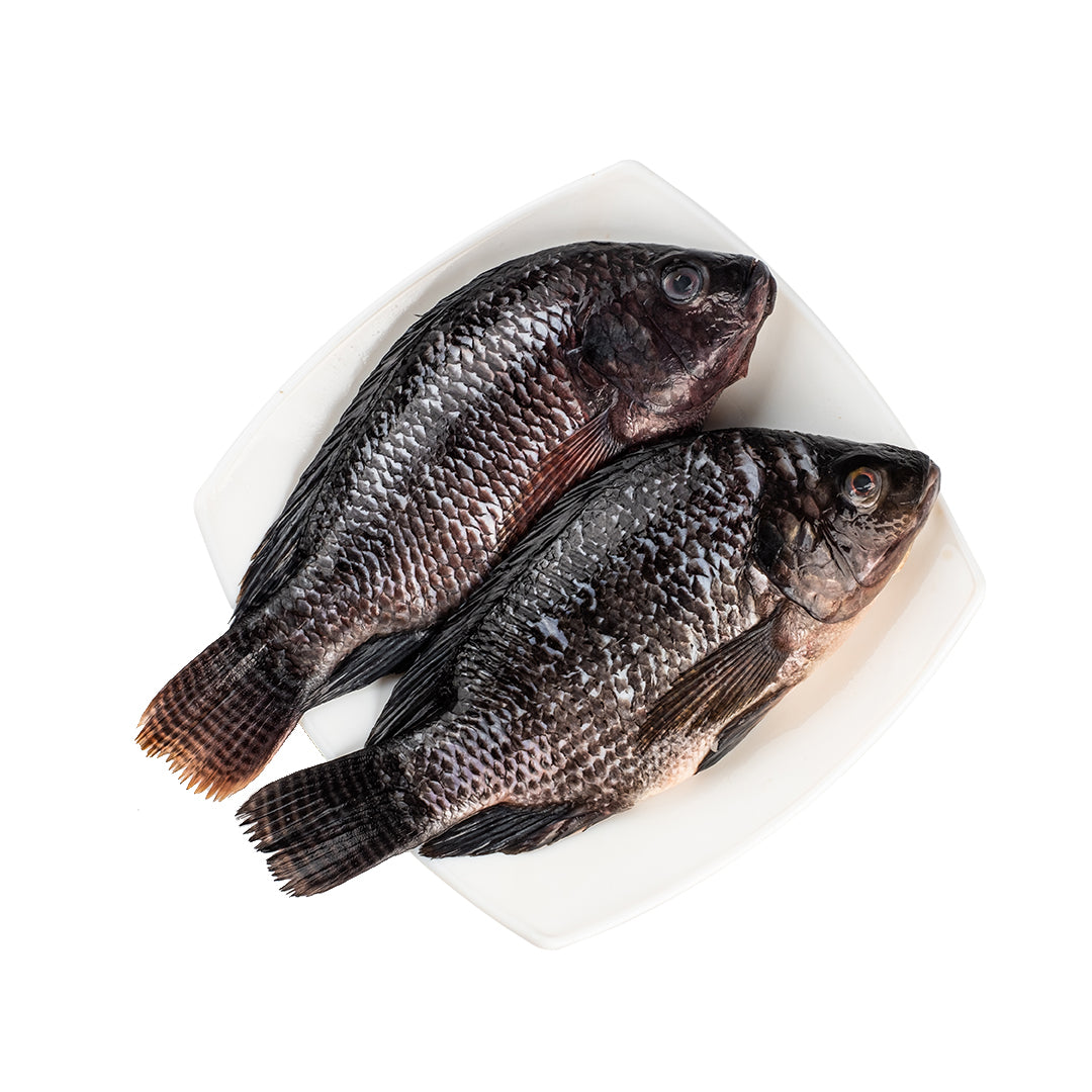 Tilapia Batangas Cleaned 500g